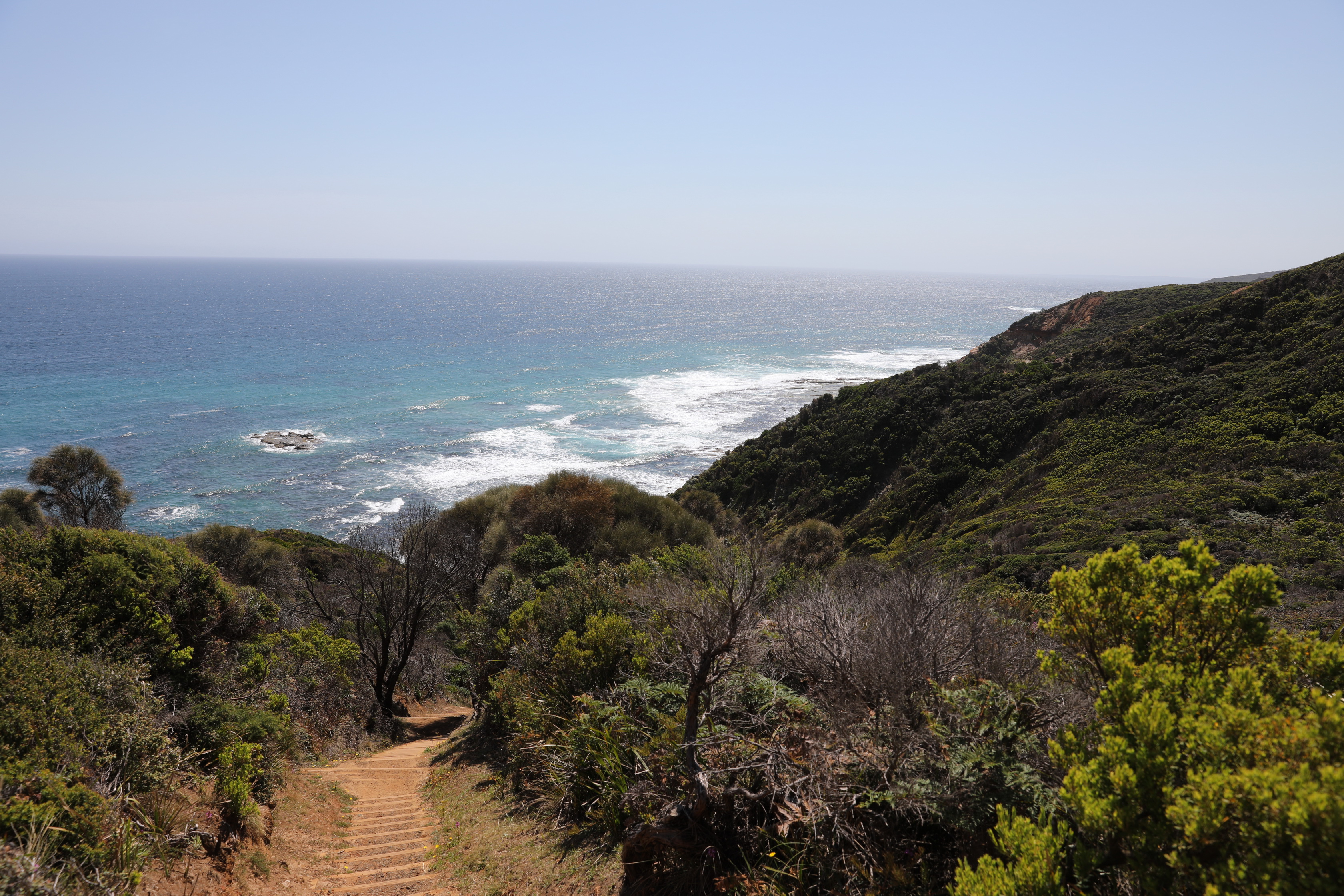 2019 12 19 15 43 54 Canon EOS 5D Mark IV 0054